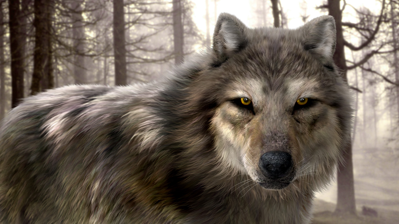 Wolf 3D Model Massimo Righi Cg Buy 3D Models Online