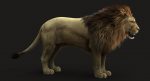 Lion 3D Model Online | Animal 3D Model Online