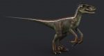 Velociraptor 3D Model Online | Animal 3D Model Online