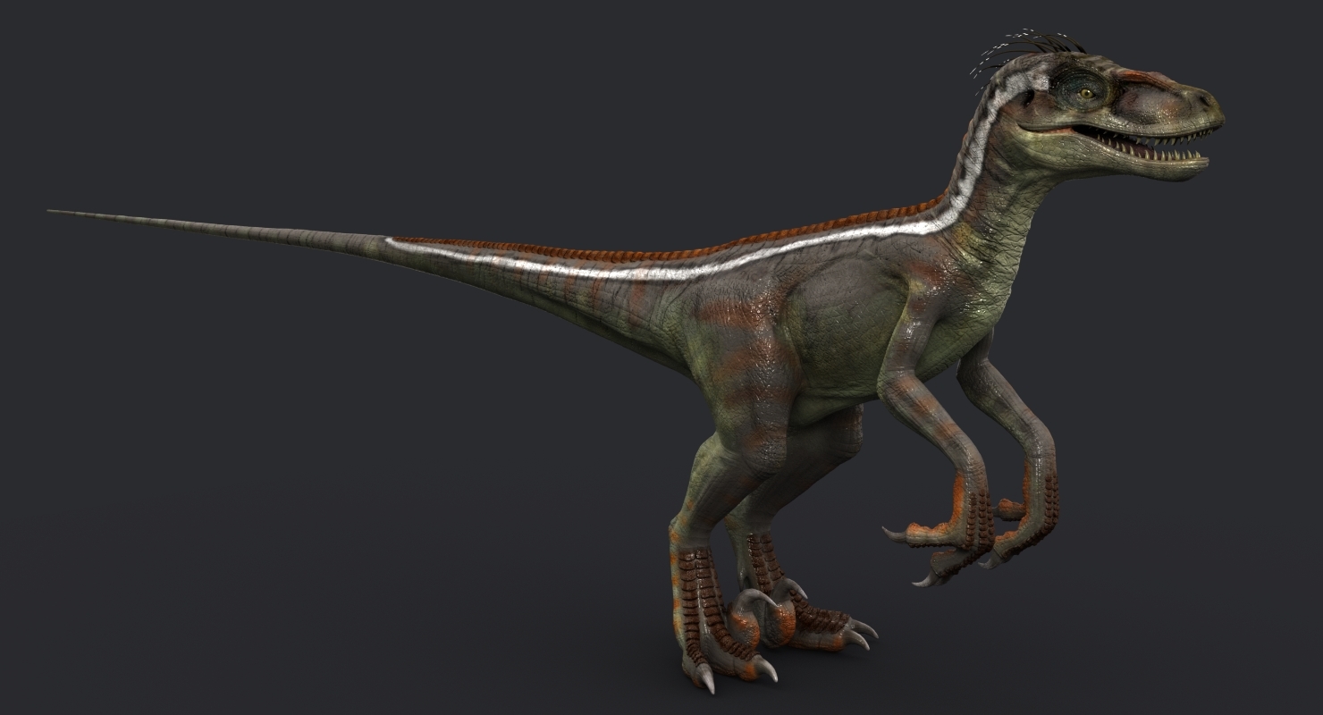velociraptor google 3d