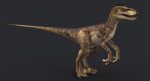 Velociraptor (2) (RIGGED) 3D Model Online | Animal 3D Model Online