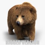 Brown Bear 3D Model Online | Animal 3D Model Online