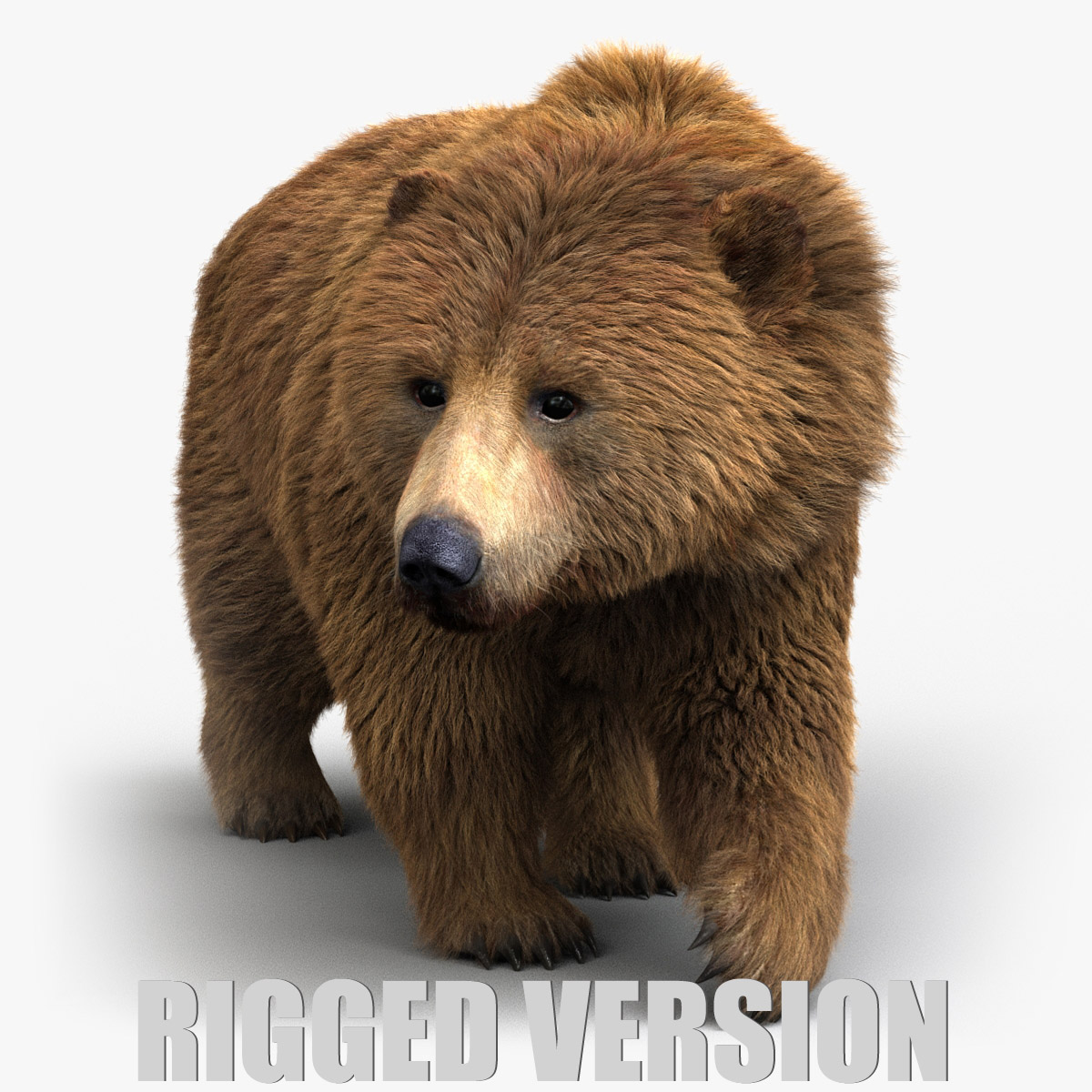 Медведь анимация. Медведь анимашка. Медведь гифка. Медведь анимашка. Медведь анимашка.