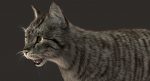 Grey Cat 3D Model Online | Animal 3D Model Online