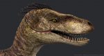 Velociraptor (2) (RIGGED) 3D Model Online | Animal 3D Model Online