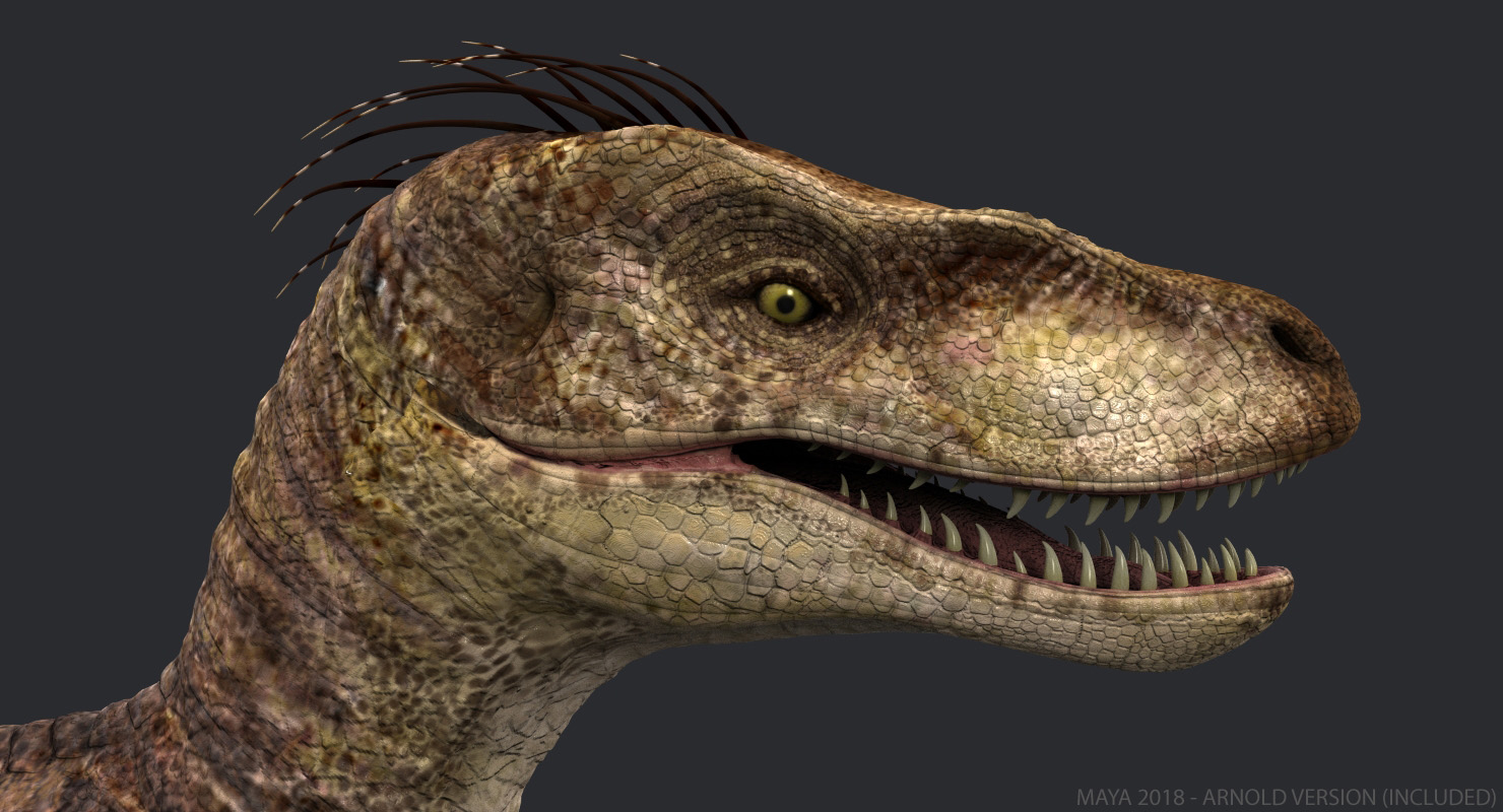 google 3d velociraptor