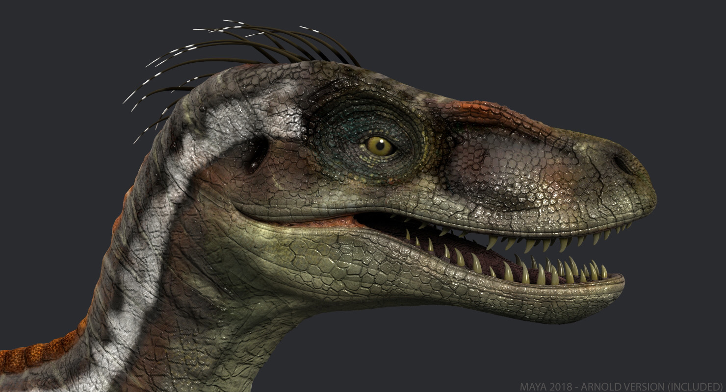 google 3d velociraptor