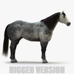 Horse 3D Model Online | Animal 3D Model Online