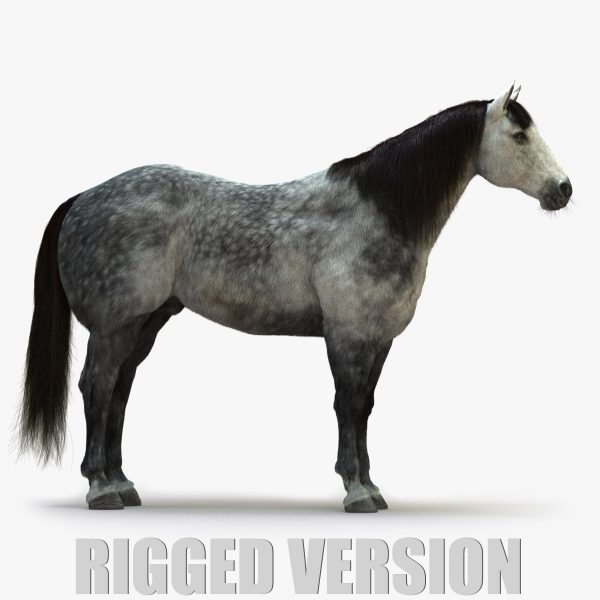 Horse 3D Model Online | Animal 3D Model Online