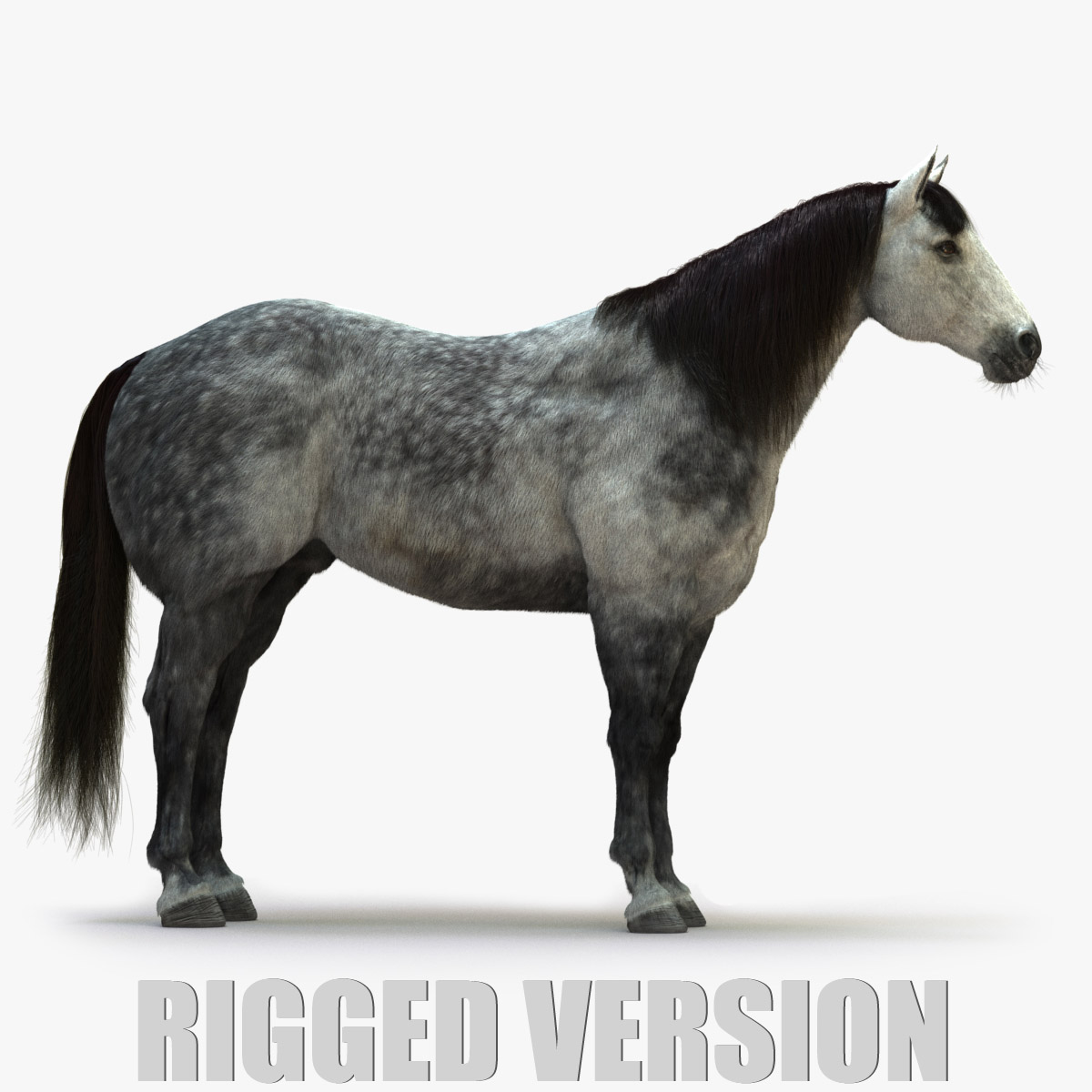 Horse 3D Model Online | Animal 3D Model Online