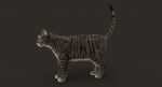 Grey Cat 3D Model Online | Animal 3D Model Online