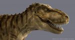 Tyrannosaurus 3D Model Online | Animal 3D Model Online