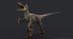 Velociraptor 3D Model Online | Animal 3D Model Online