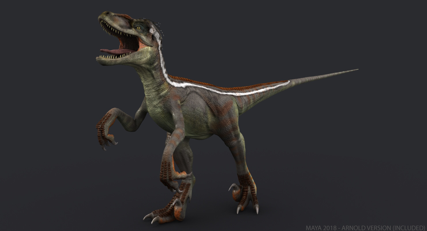 Buy Velociraptor Rigged Fully Rigged 3d Models Online 