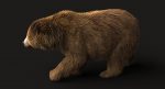 Brown Bear 3D Model Online | Animal 3D Model Online