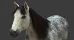 Horse 3D Model Online | Animal 3D Model Online