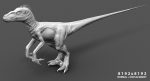 Velociraptor 3D Model Online | Animal 3D Model Online