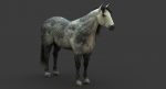 Horse 3D Model Online | Animal 3D Model Online