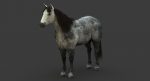 Horse 3D Model Online | Animal 3D Model Online