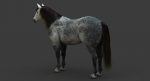 Horse 3D Model Online | Animal 3D Model Online