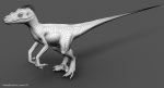 Velociraptor 3D Model Online | Animal 3D Model Online