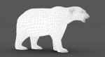 Polar Bear 3D Model Online | Animal 3D Model Online