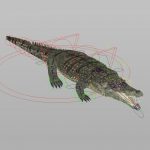 Crocodile (RIGGED) 3D Model Online | Animal 3D Model Online