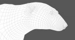 Polar Bear 3D Model Online | Animal 3D Model Online