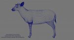 Deer 3D Model Online | Animal 3D Model Online