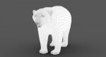 Polar Bear 3D Model Online | Animal 3D Model Online