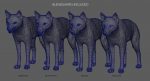 Wolf 3D Model Online | Animal 3D Model Online