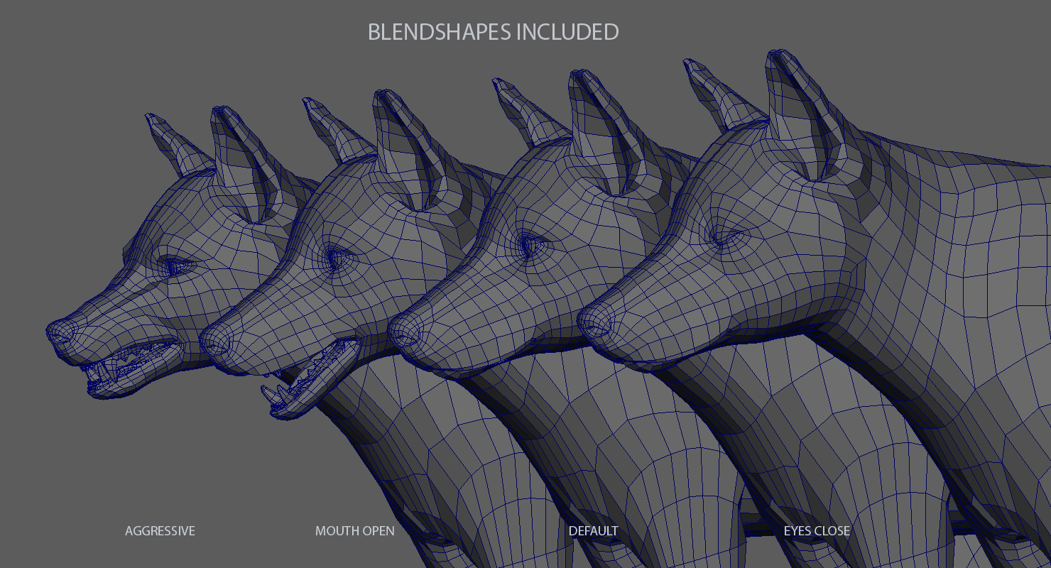 Buy WOLF (FUR) (RIGGED) 3D Models Online | Massimo Righi
