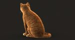 Cat 3D Model Online | Animal 3D Model Online
