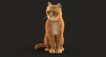 Cat 3D Model Online | Animal 3D Model Online