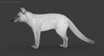 Fox 3D Model Online | Animal 3D Model Online