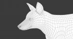 Fox 3D Model Online | Animal 3D Model Online