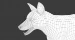 Fox 3D Model Online | Animal 3D Model Online