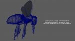 Honeybee (FUR) (RIGGED) 3D Model Online | Animal 3D Model Online