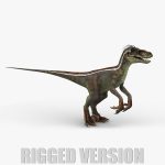 Velociraptor 3D Model Online | Animal 3D Model Online