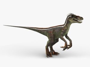 Velociraptor 3D Model Online | Animal 3D Model Online