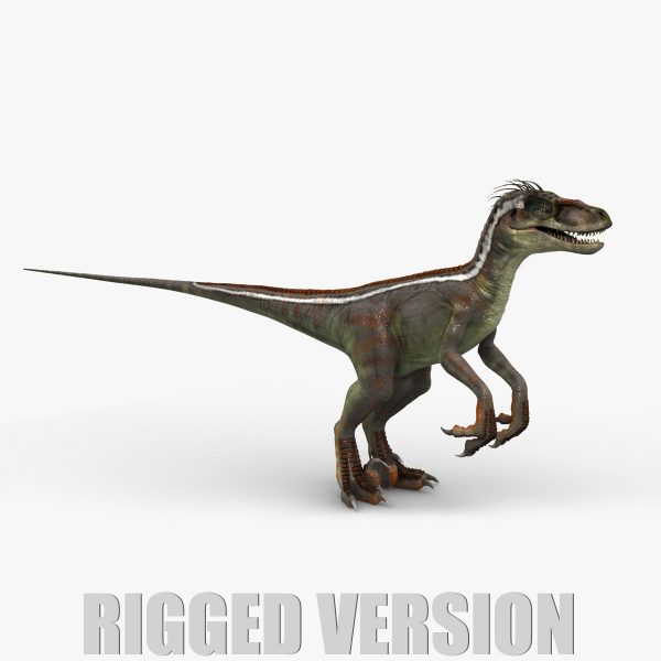Velociraptor 3D Model Online | Animal 3D Model Online