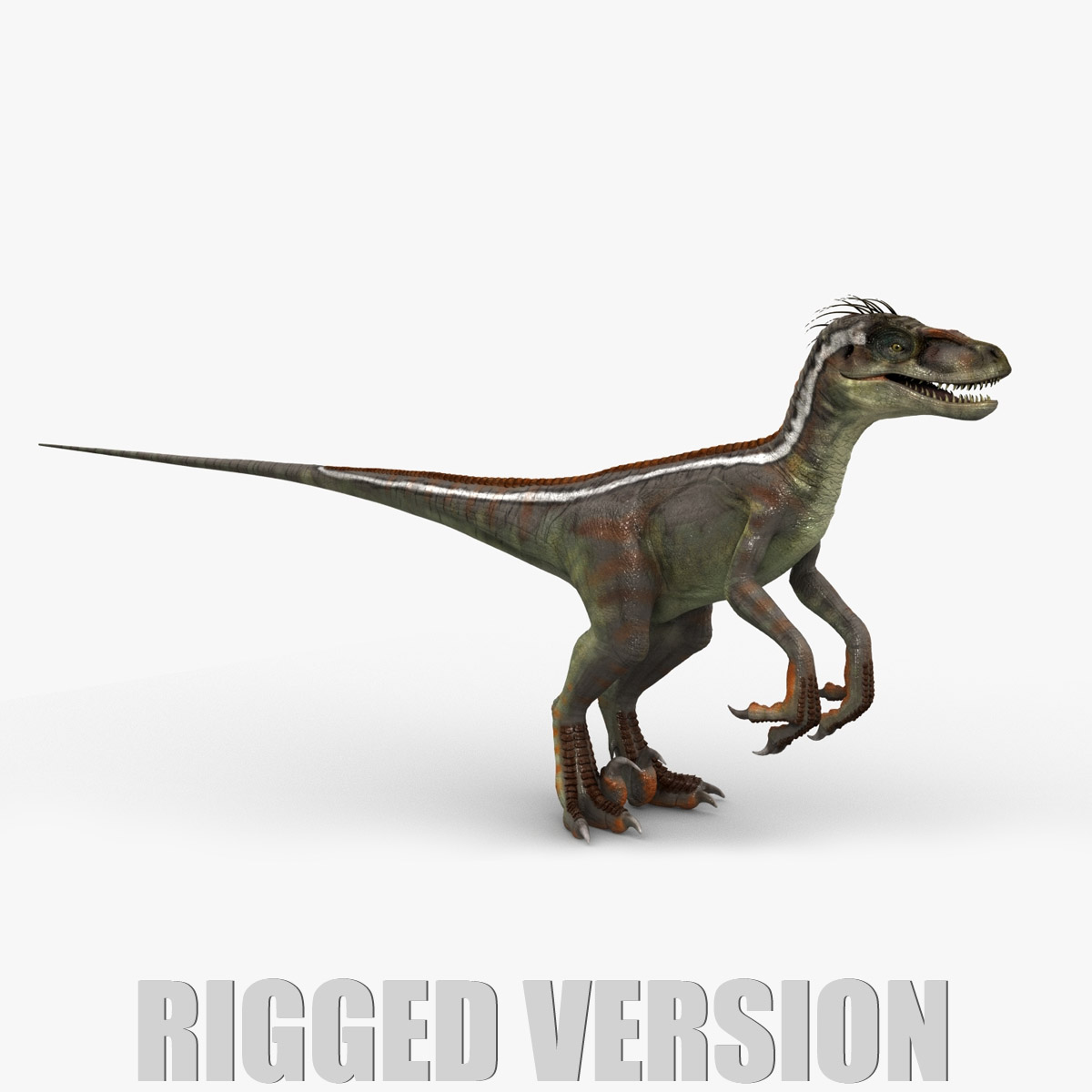 velociraptor accurate