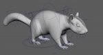 Squirrel (FUR) (RIGGED) 3D Model Online | Animal 3D Model Online