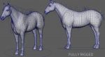 Horse 3D Model Online | Animal 3D Model Online