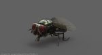 Housefly (RIGGED) 3D Model Online | Animal 3D Model Online