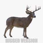 Deer 3D Model Online | Animal 3D Model Online