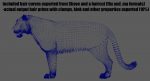 Tiger 3D Model Online | Animal 3D Model Online