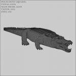 Crocodile (RIGGED) 3D Model Online | Animal 3D Model Online