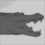 Crocodile (RIGGED) 3D Model Online | Animal 3D Model Online
