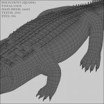 Crocodile (RIGGED) 3D Model Online | Animal 3D Model Online